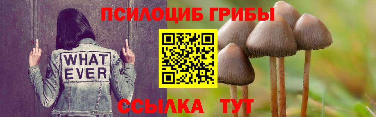 Джанкой  Псилоцибиновые грибы GOLDEN TEACHER  Вход с VPN 